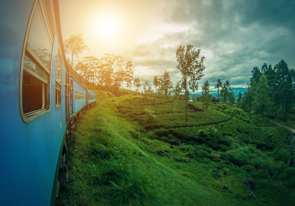 train driving through rice paddies in ella sri lanka