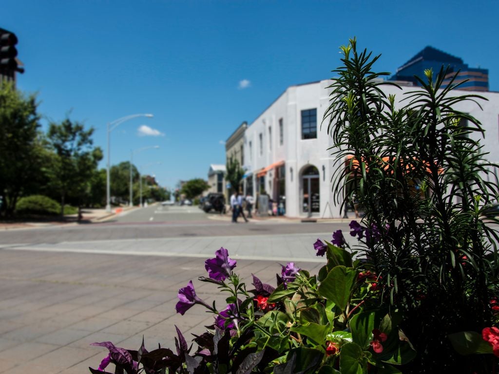 flowers in the foreground and white building in the background with a street