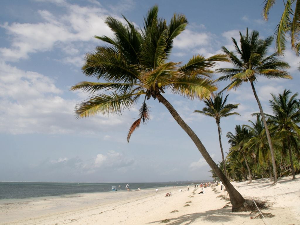 beach in mombasa with palm trees