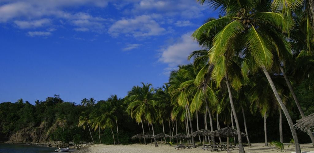 a dark sunny afternoon with coconut tree and blue sky