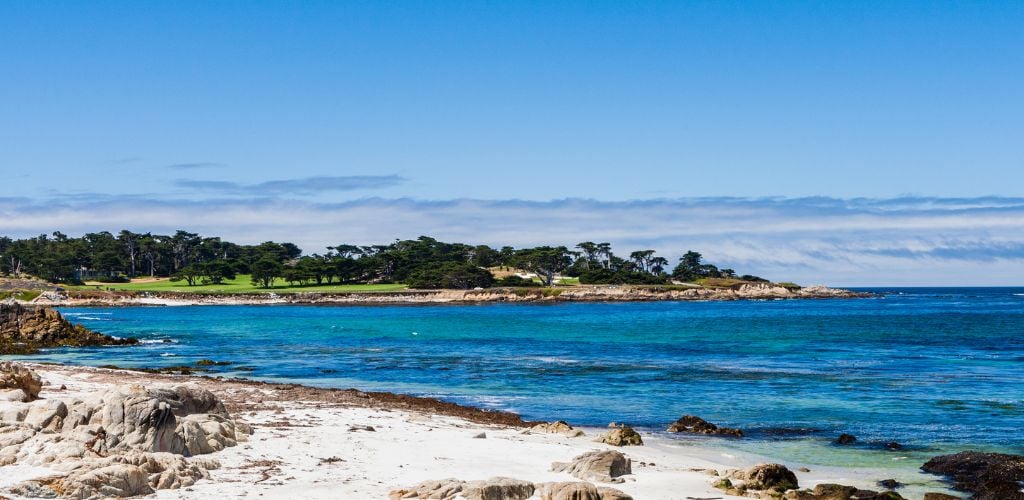 Cypress Point Park - trees and ocean in the background 