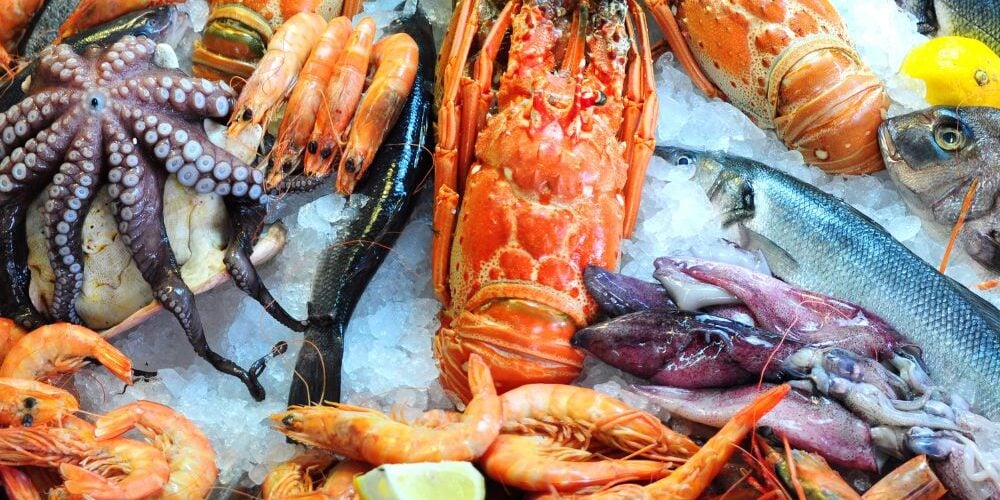 A variety of fresh seafood