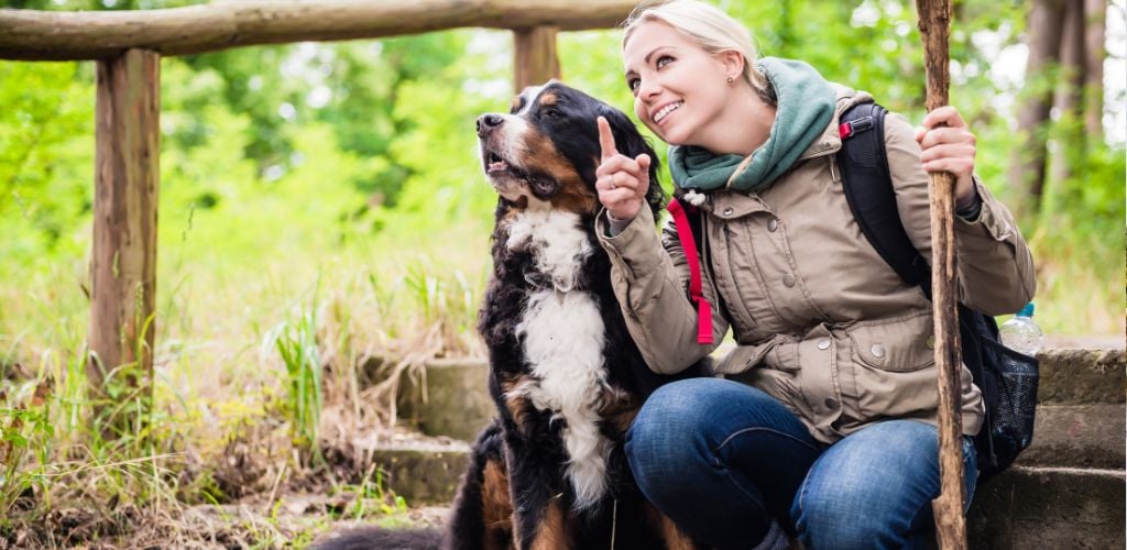 Going on a park trail with the dog 