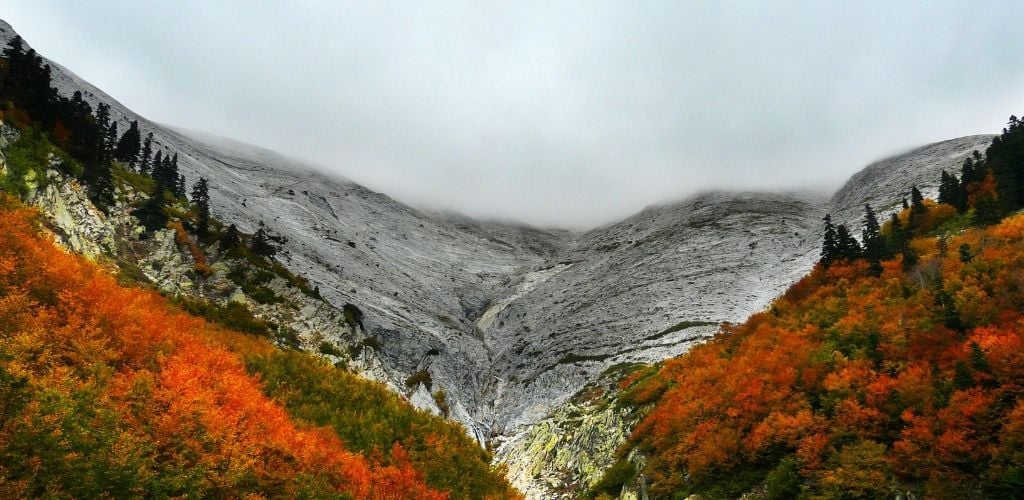 An early morning view snowy and orange trees along the side of Uludag mountain in Bursa, Turkey 