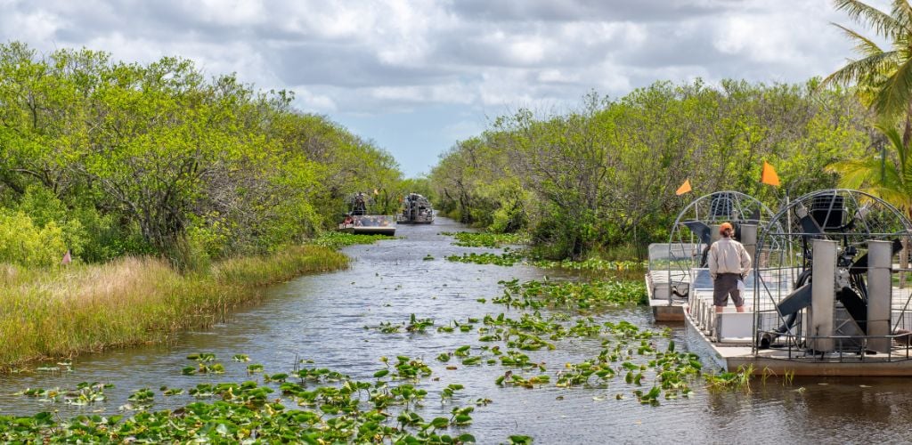 Airboat Tour on a swamp