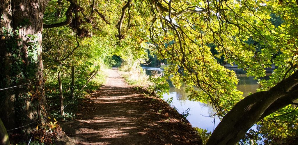 Hiking Trail along side the river