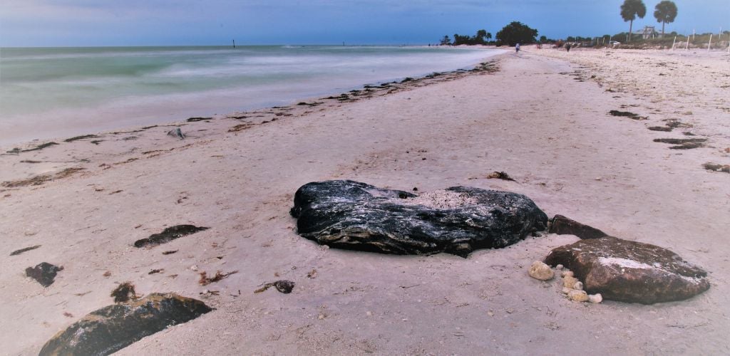 honeymoon island state park tampa