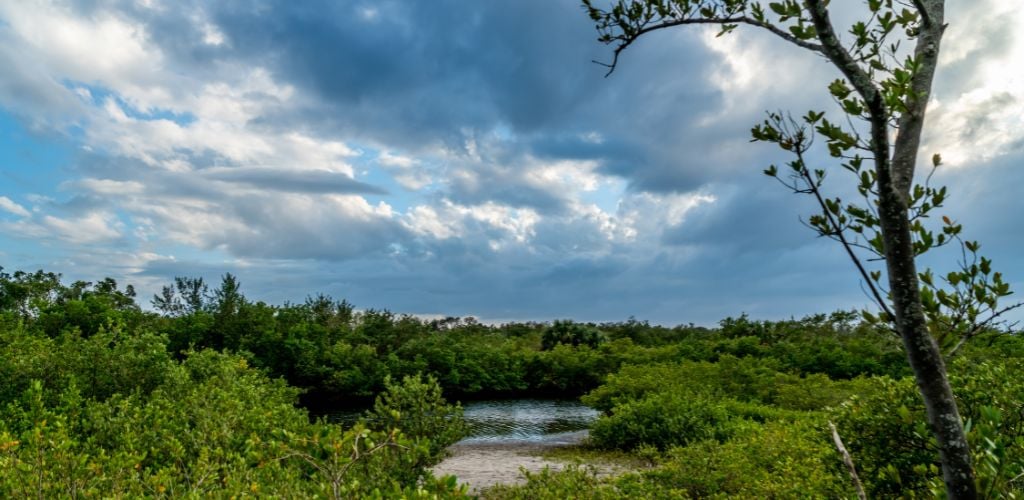 hiking around tampa when to visit