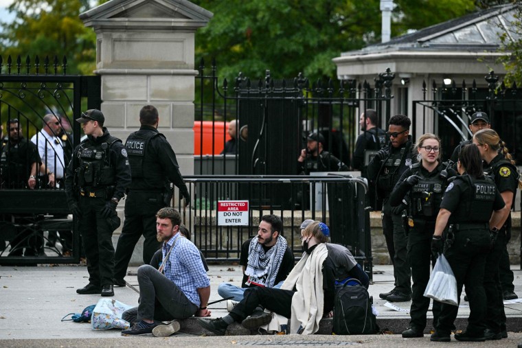 Secret Service agents arrest protesters during a rally in support of Palestinians outside the White House.