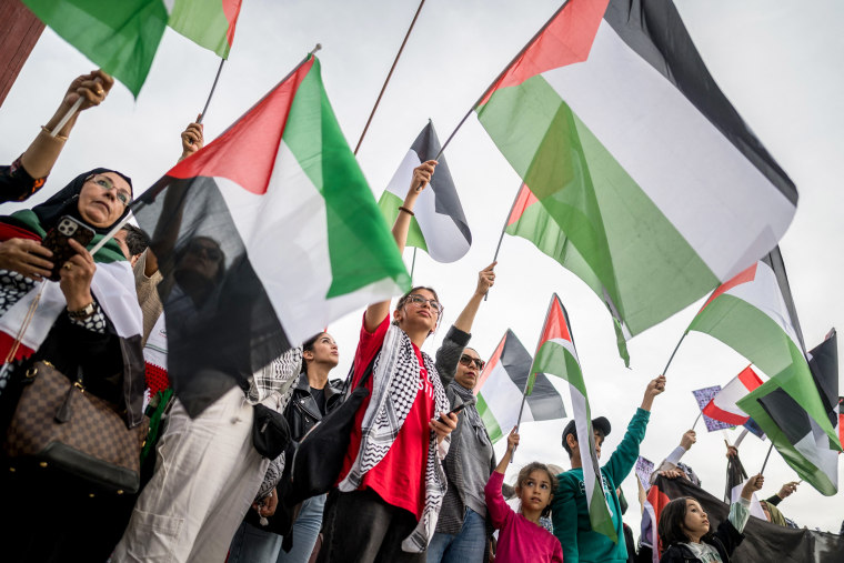 Protestors hold Palestinian flags in Geneva.