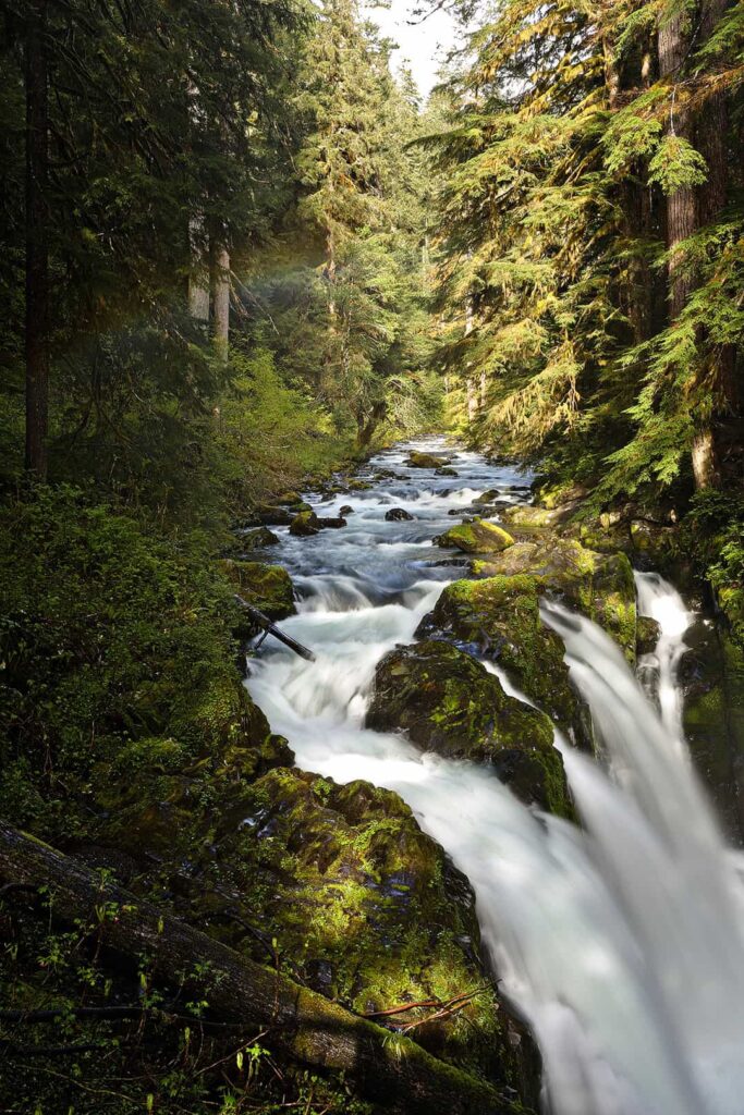 sol duc falls olympic national park washington