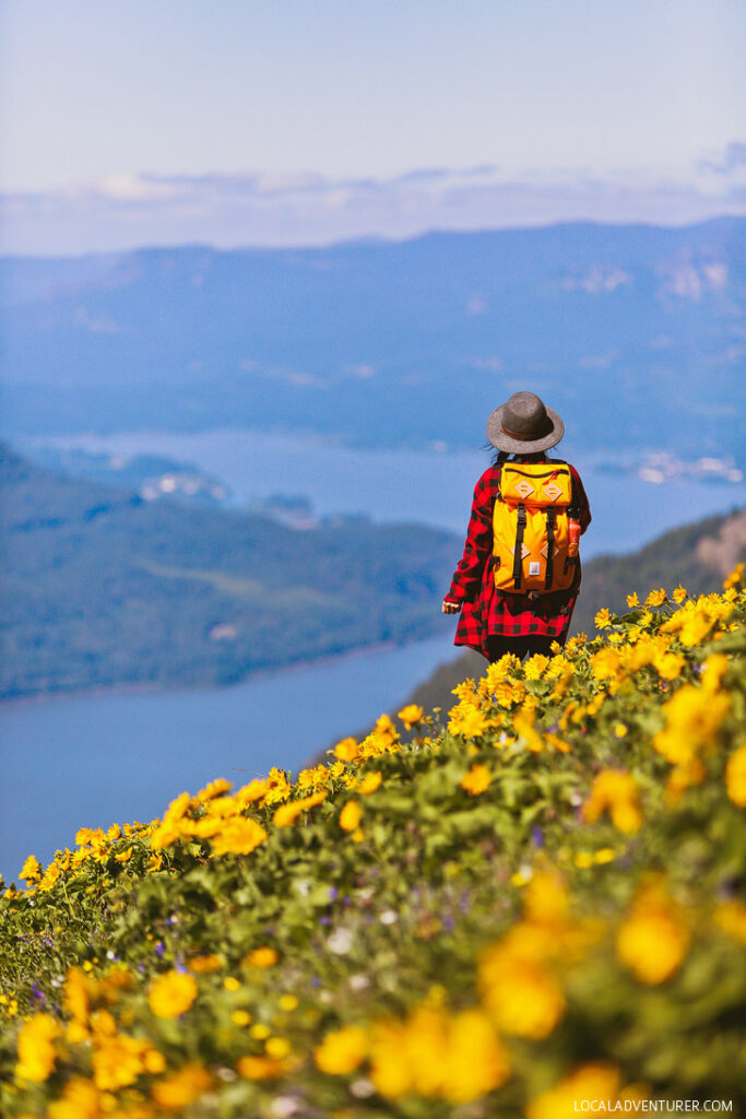 Dog Mountain Trail, Columbia RIver Gorge National Scenic Area, Washington // localadventurer.com