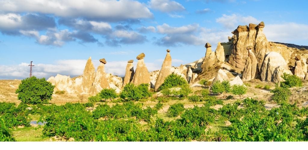 A rock formation and has a tip big rock surrounded by green trees. 