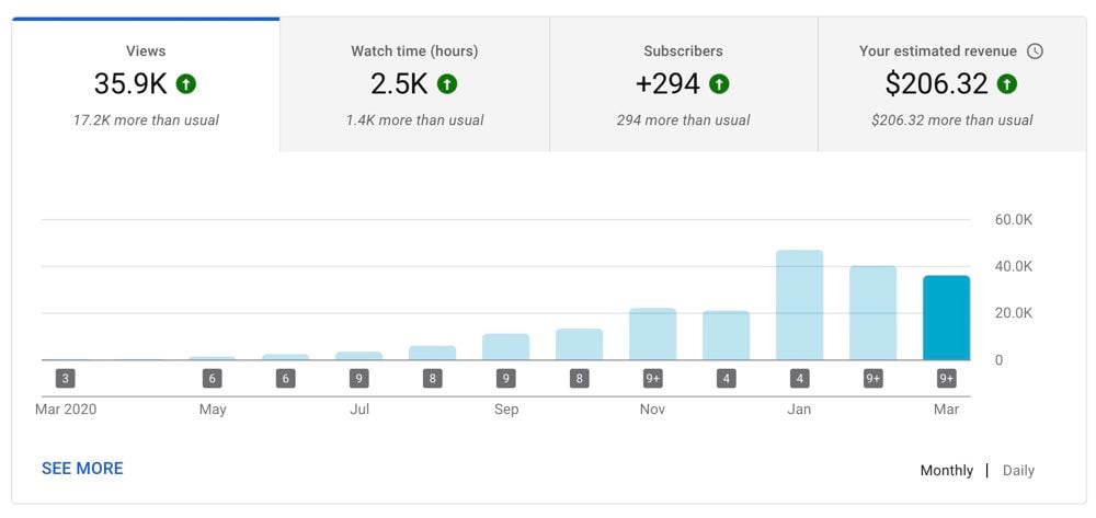 YouTube Stats New NIche Site Case Study