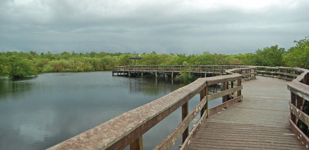 Board walk on Anhinga Trail Florida with lake and trees