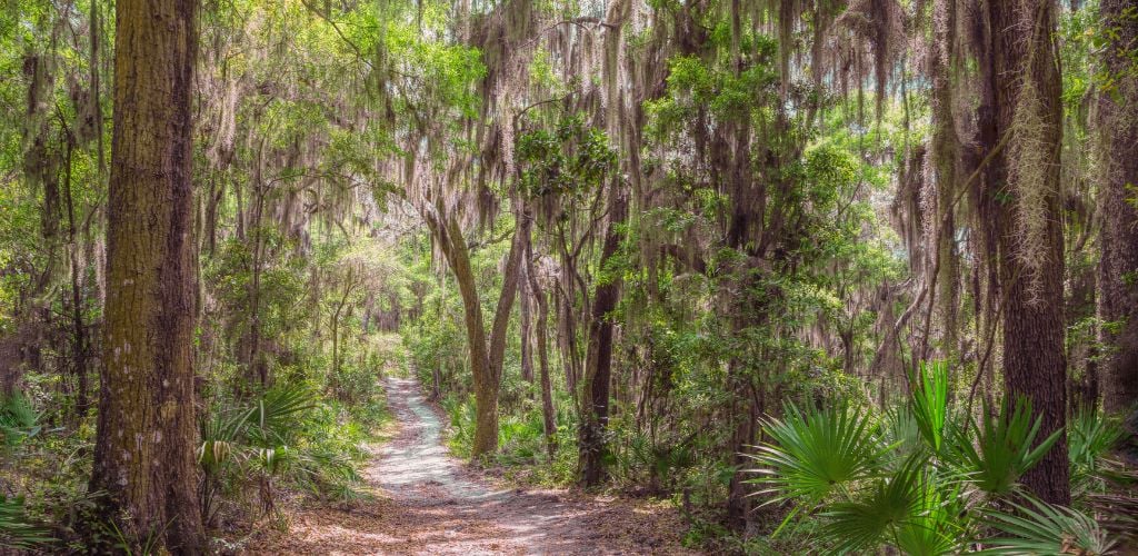 This beautiful trail leads to a recreation of Fort Caroline. Fort Caroline National Memorial is part of the Timucuan Ecological and Historic Preserve sited along the St Johns River near Jacksonville,
Florida. Fort Caroline memorializes
the short-lived Fre