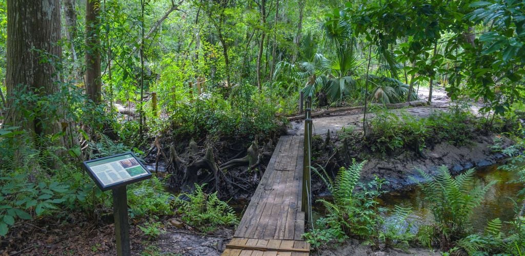 A little river and a wood bridge in the center of the forest. 