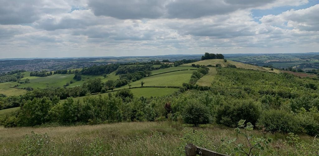 A green field and a cloudy sky. 