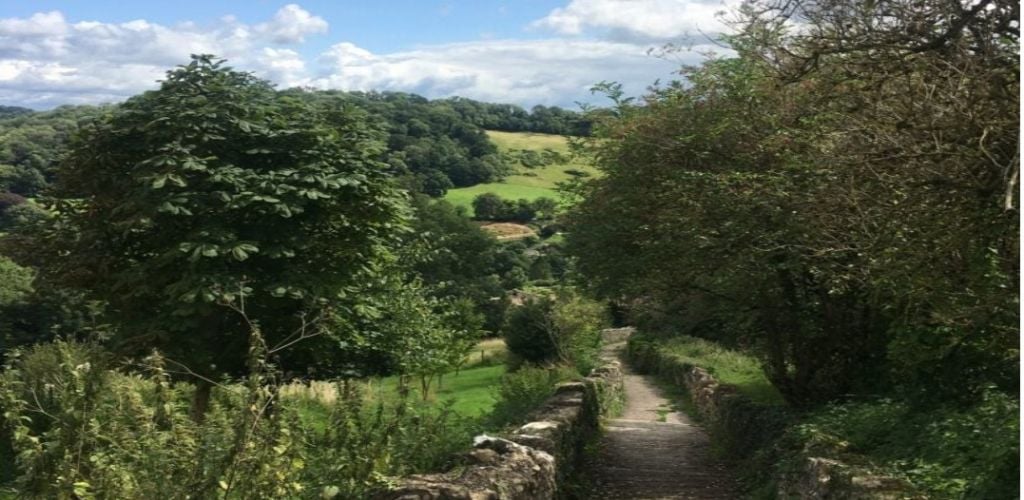 A small path way towards a hill and green fields.