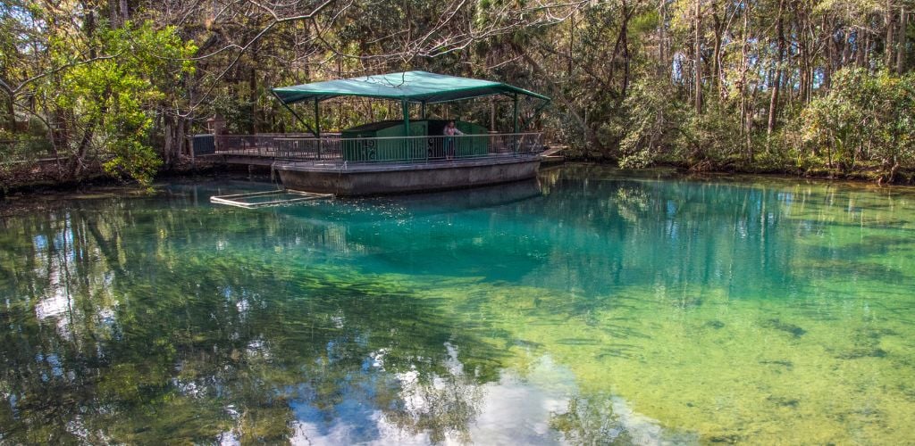 View over the water at Homosassa Springs. A woman standing in a small gazebo surrounded by water and trees. 