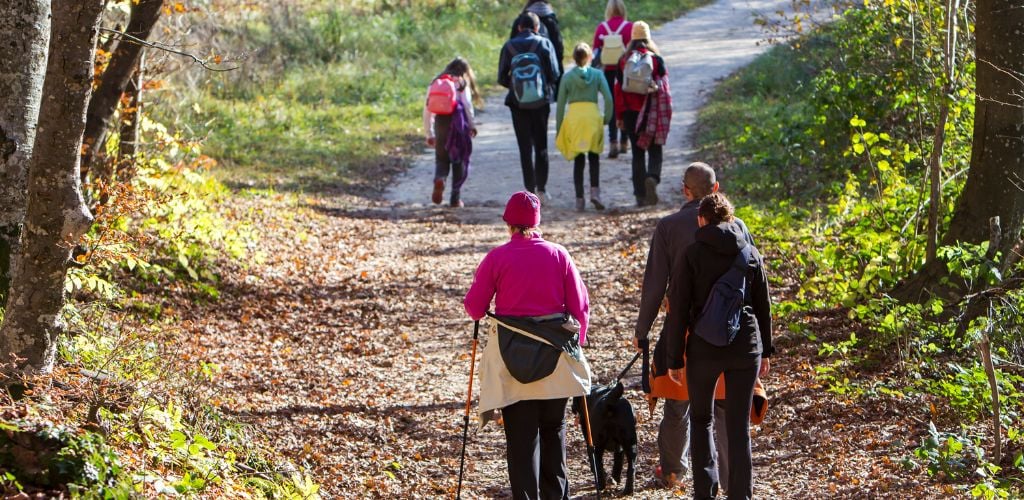 Group of People Walking by Hiking Trail