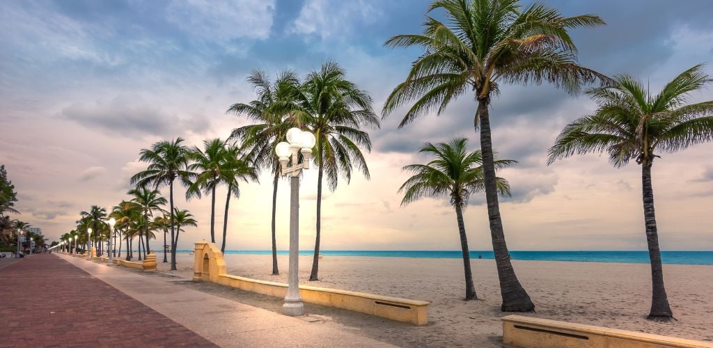 Hollywood Beach, Florida. Coconut palm trees on the beach and illuminated street lights on the boardwalk at dusk. Cloud sky. Sunset in the background. 