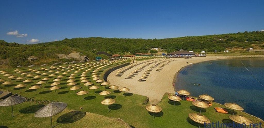 A beach club by the sea with many umbrellas surrounded by green land and mountains. 