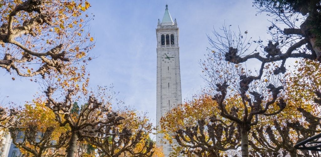 Alley lined up with autumn colored trees; Sather tower in the background, Berkeley, San Francisco bay, California