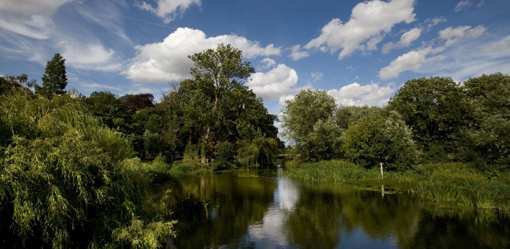 A pond in the middle of the green forest. 