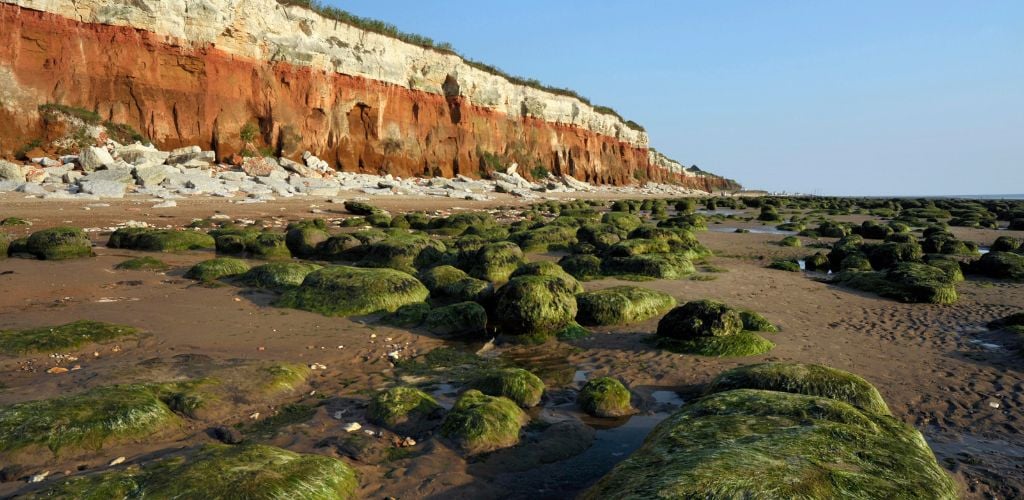 The cliff, beach, and bedrock outcrops along the coast. 