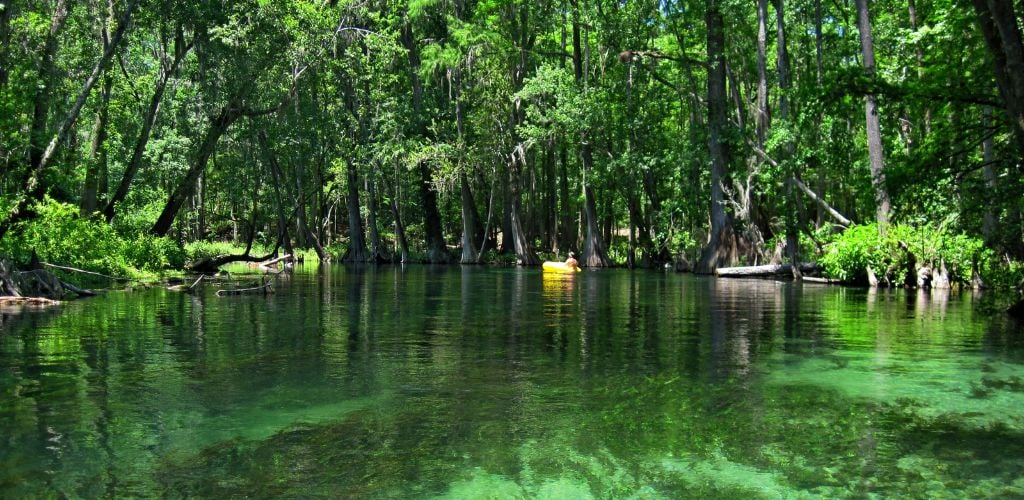 Kayaking the Ichetucknee River, Ichetucknee Springs State Park, Florida.