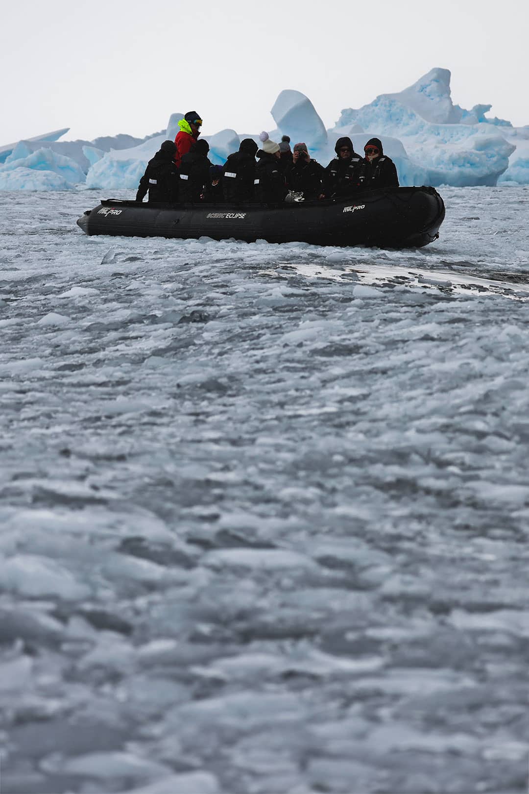 zodiac antarctica