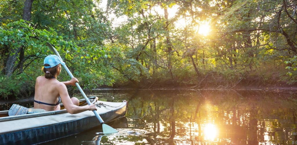 At sunset, a woman kayaks through a forest of green trees. 