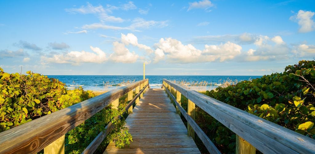 A bridge with green plants on the side leading to the beach and a cloudy sky. 