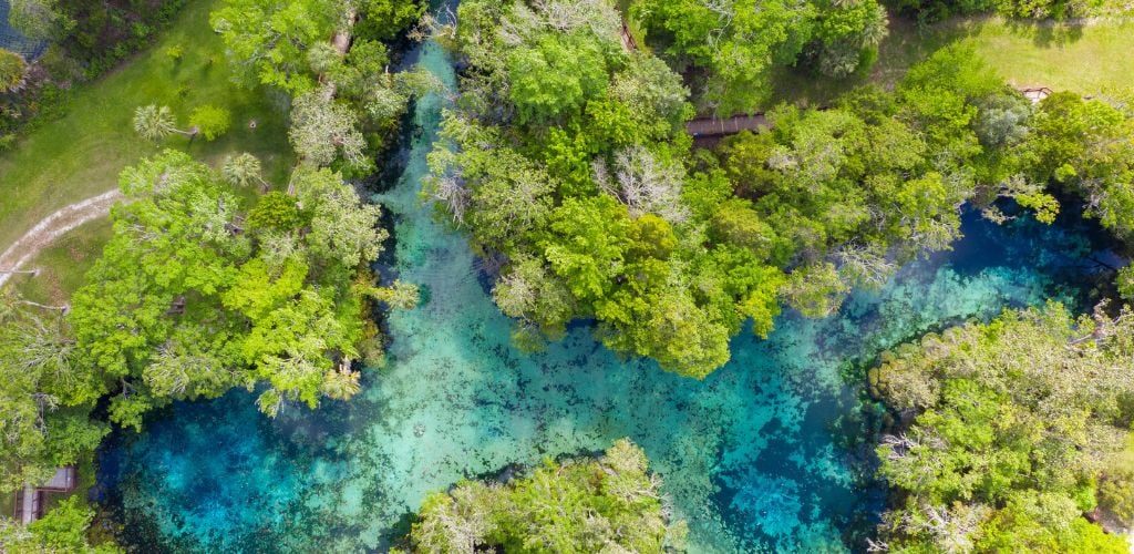 Aerial Drone View of green trees and clear water of the river. 