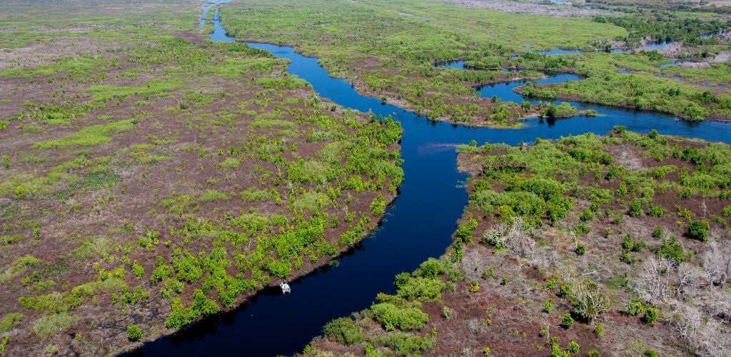 Aerial image of the Kissimmee River in Florida. A huge piece of green land with a river. 