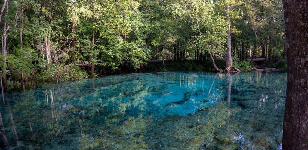 Beautiful view of the turquoise crystal clear waters of the lagoon of Ginnie Springs, Florida. USA