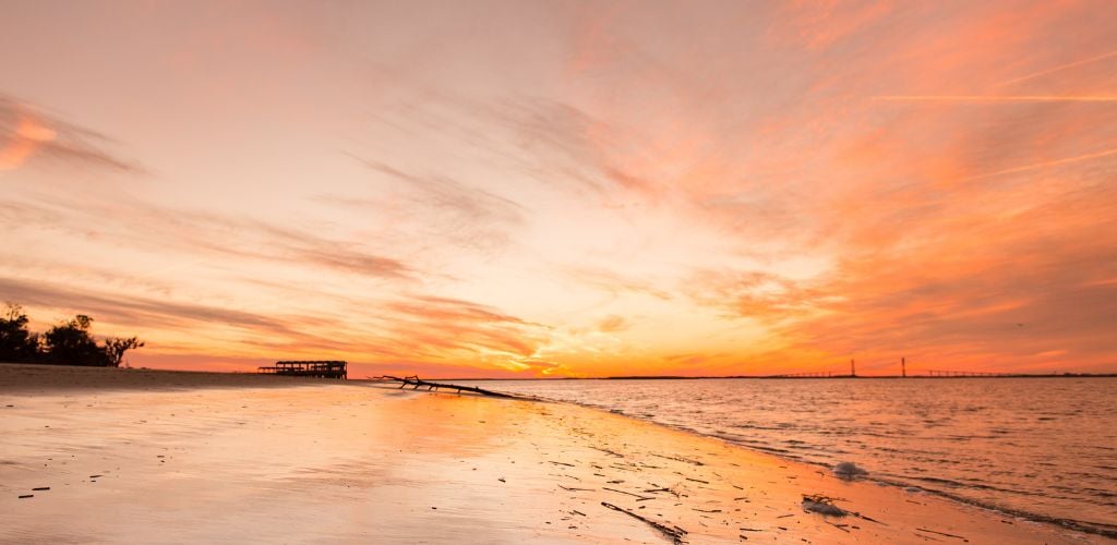 A beach with some tree branches at sunset 