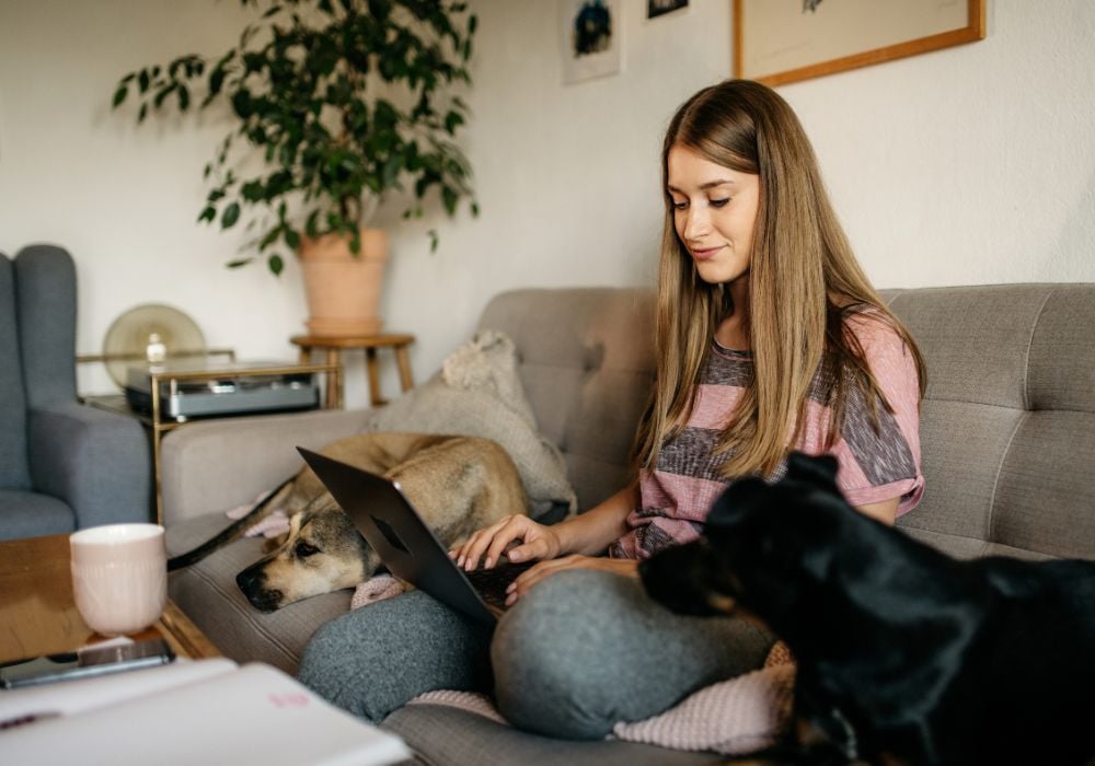 The young woman is looking for the best house sitting websites on her laptop with a dog on the couch