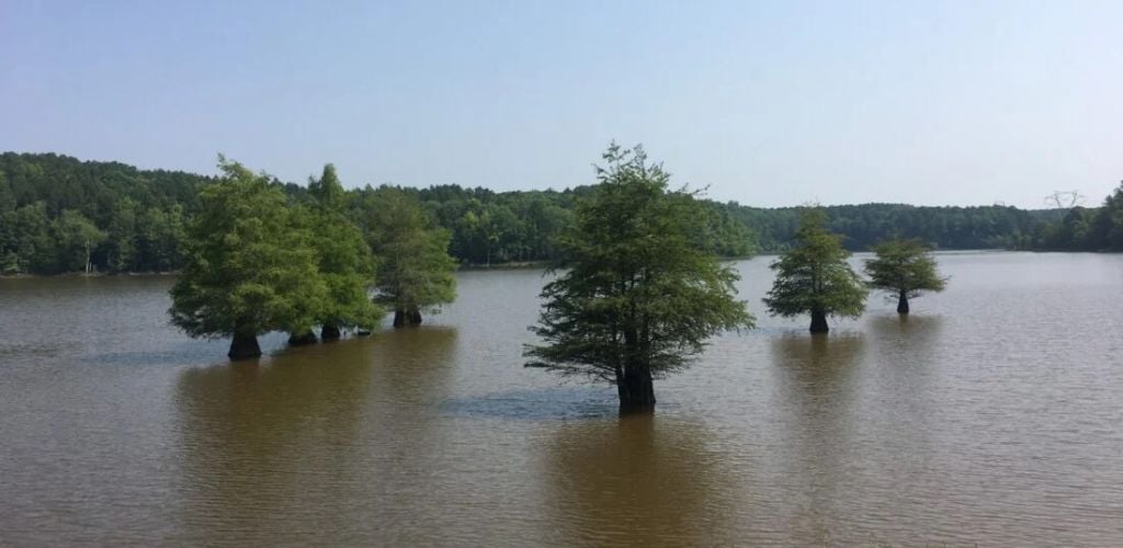 A lake and a trees in the middle of the lake. 