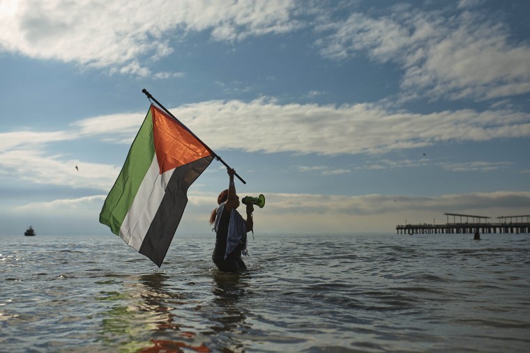 A demonstrator holds a Palestinian flag as she demands a permanent ceasefire during the annual Polar Bear Plunge on New Year's Day, Monday, Jan. 1, 2024, in New York. 