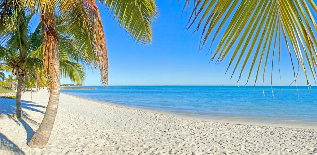 A white sand beach with coconut palms, crystal pure water, and a clear blue sky. 