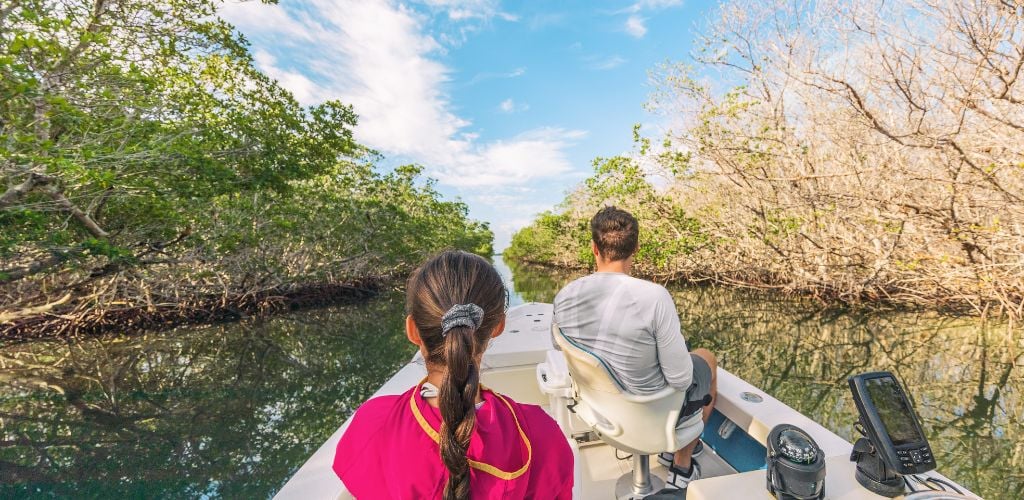 Boat tour in the Everglades, Florida, USA. Popular tourist attractions from the Key, Miami, and Orlando. People on guided rides for wildlife sightings of alligator, wetlands. 