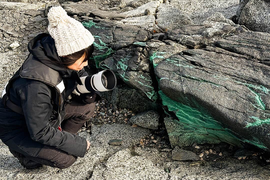 malachite rocks in antarctica