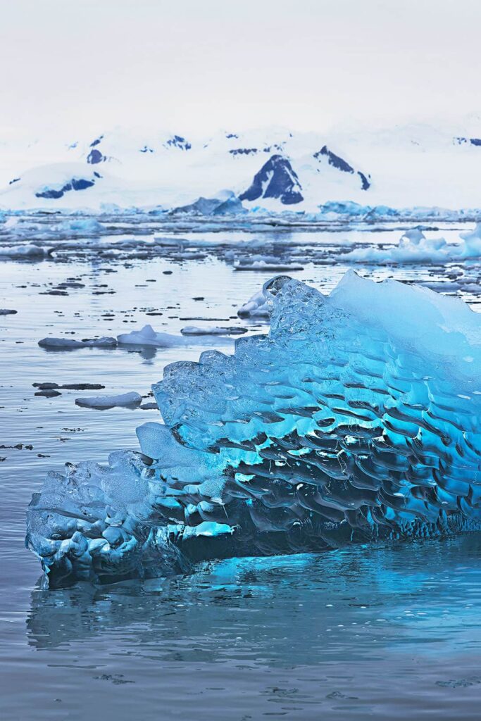 fish islands antarctica