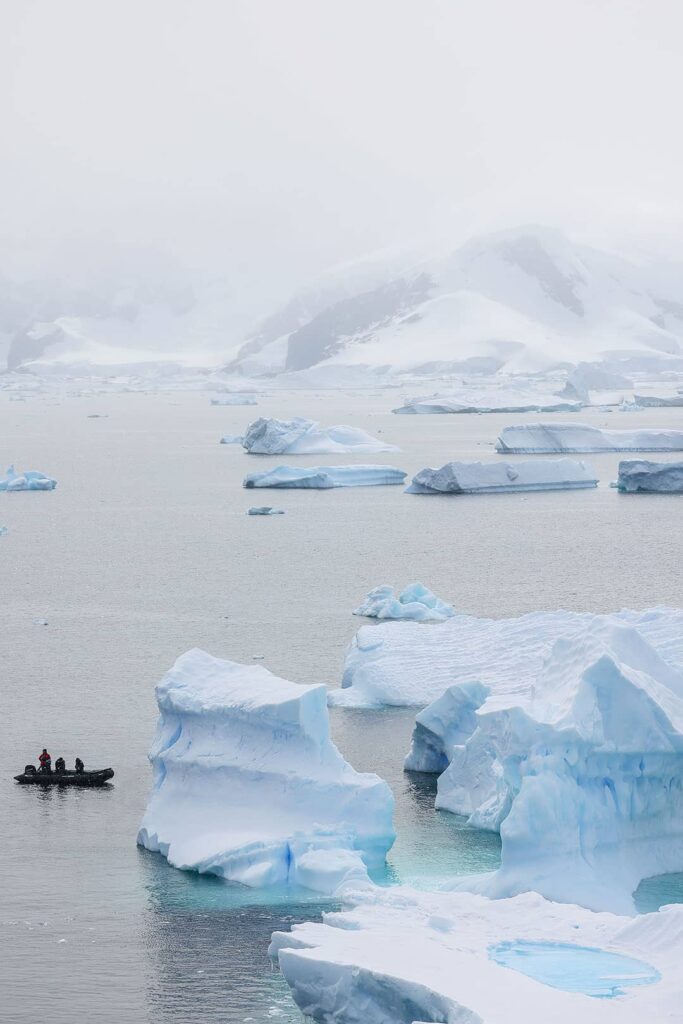 detaille island antarctica