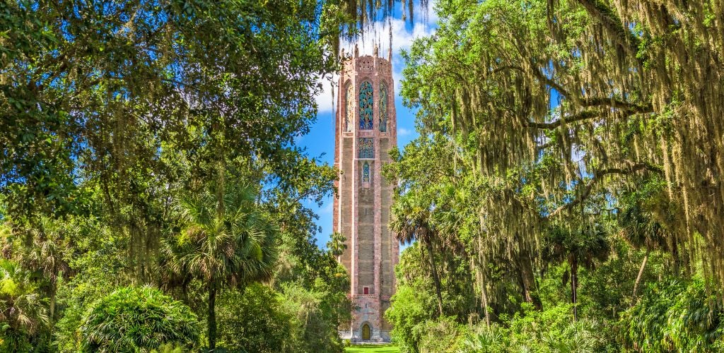 A tower in the middle of the forest with a clear sky. 