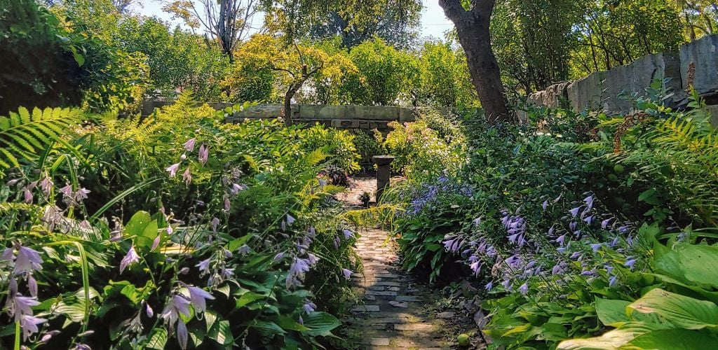 Path and green plants, trees, and followers on the side path. 