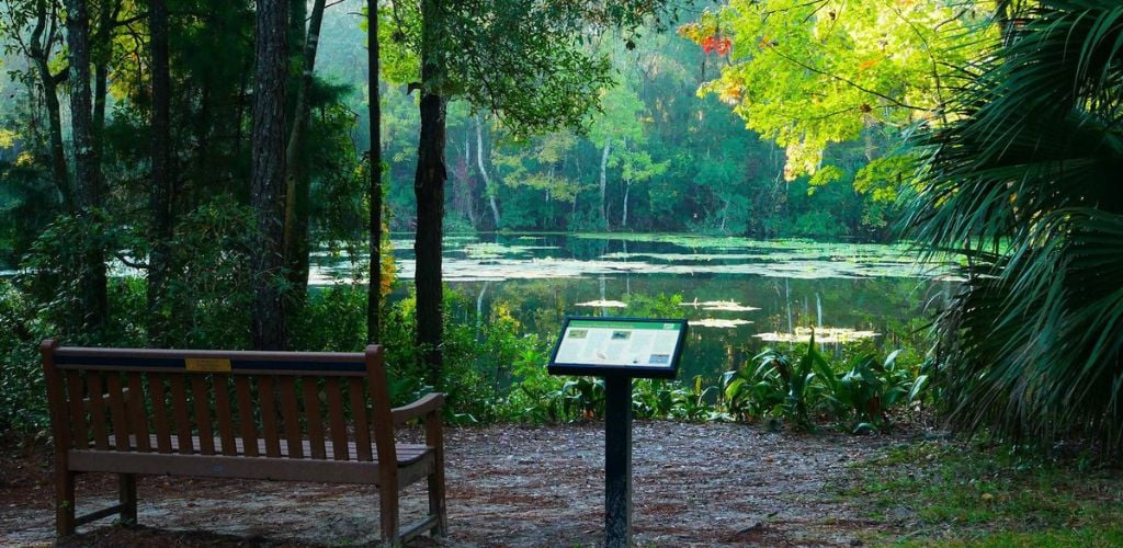 A bench in front of the lake and green forest. 