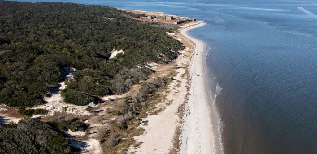 Aerial view of an island with a forest of green trees. 